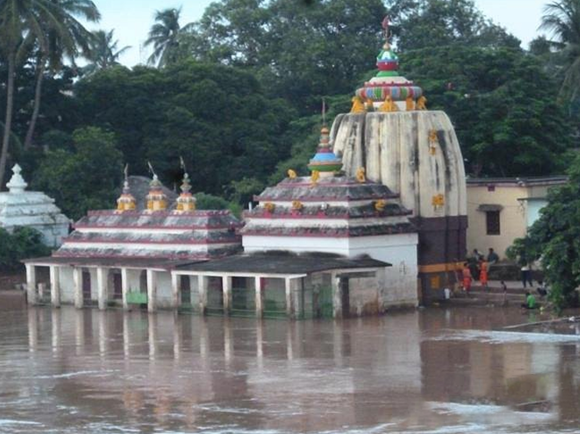 11 Biraja Devi Temple, Odisha