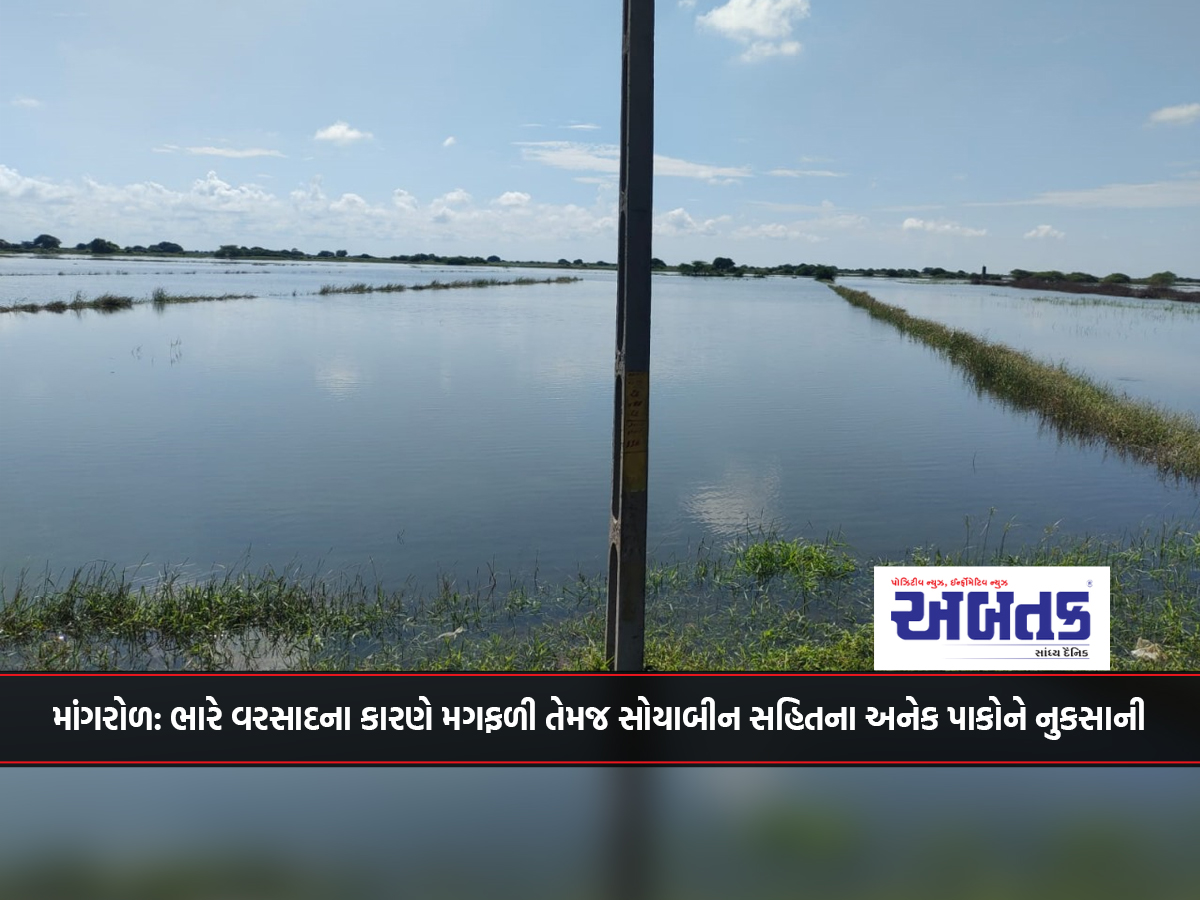 Mangrol: Damage to several crops including groundnut and soybean due to heavy rains