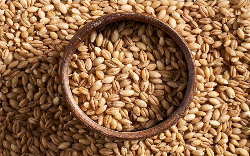 Eat these 5 grains and improve your health