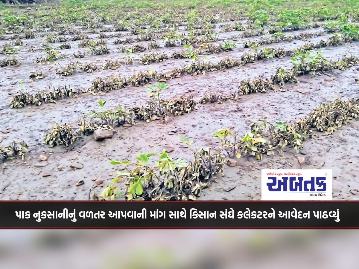 Amreli: The Kisan Sangh has sent a petition to the Collector demanding compensation for crop damage