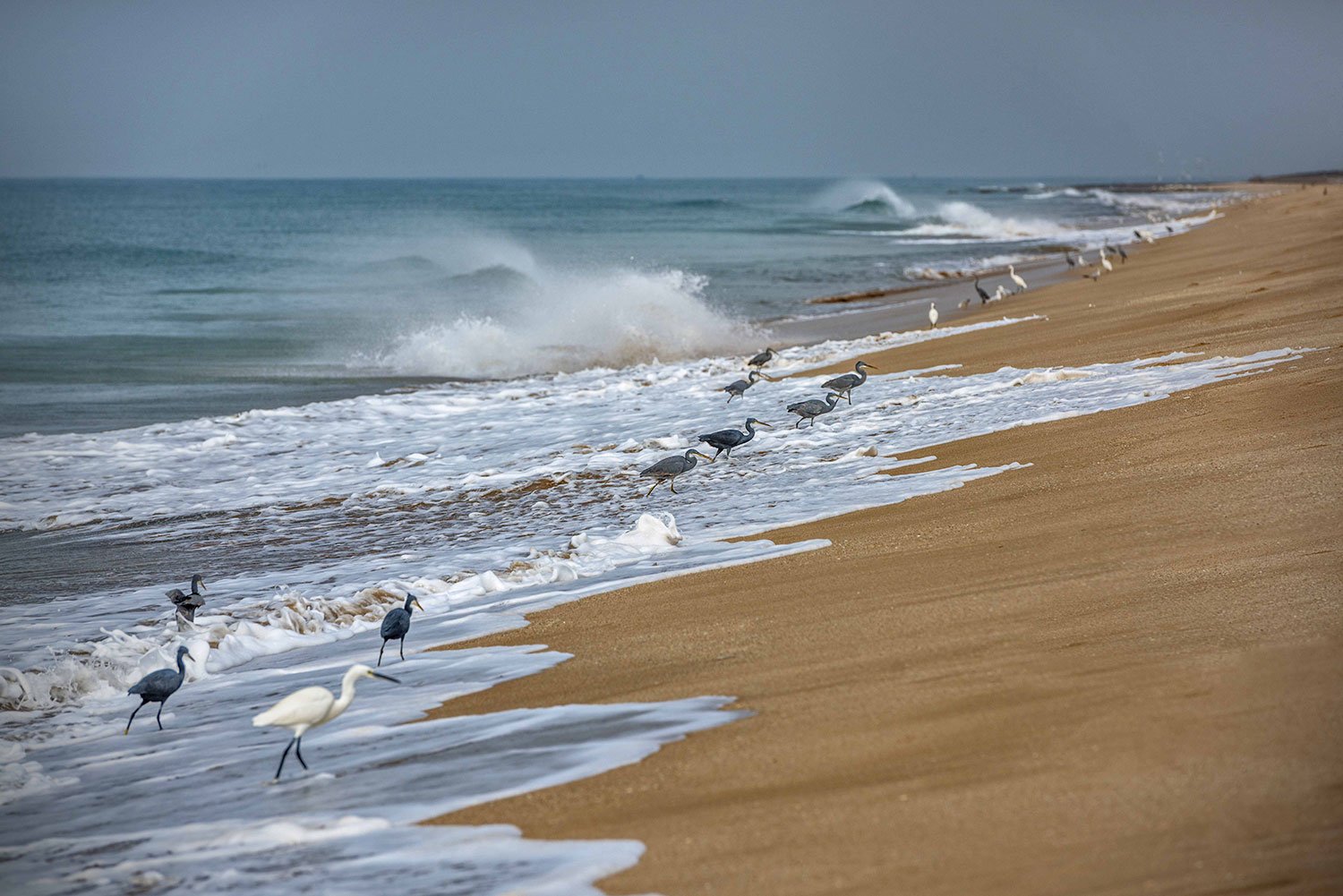 Madhavpur Beach8