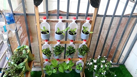 Plastic bottle vertical garden