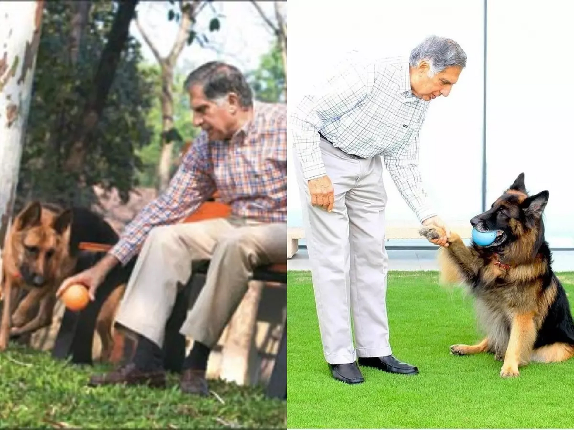 Ratan Tata's deep love for animals