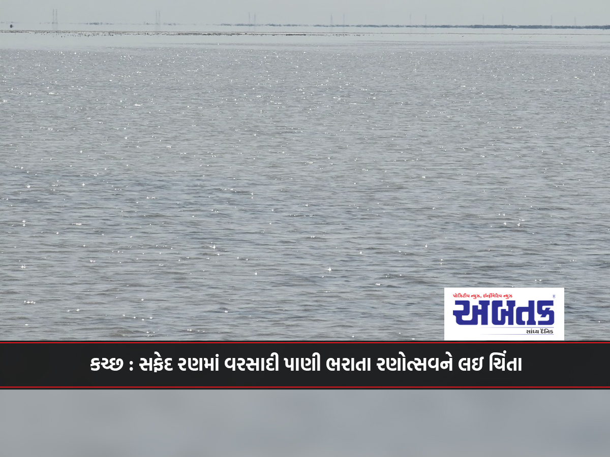 Kutch: Concerned about Ranotsav due to rain water filling in the white desert