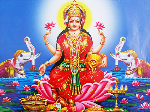 Do this special work on Friday, your wealth will increase with the grace of Goddess Lakshmi