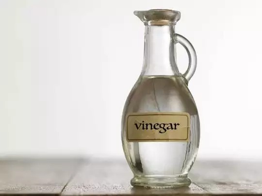 vinegar 2