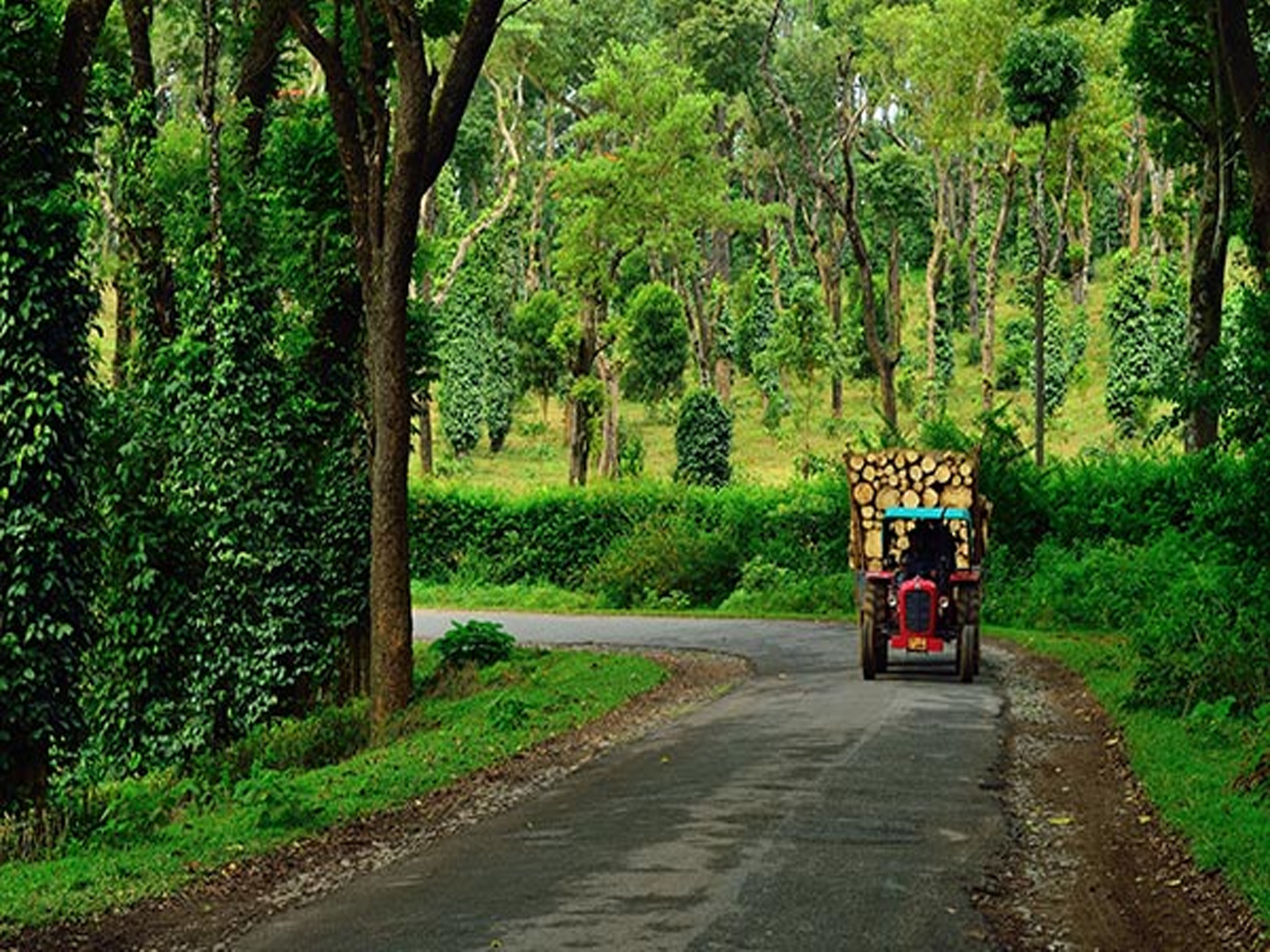 Coorg