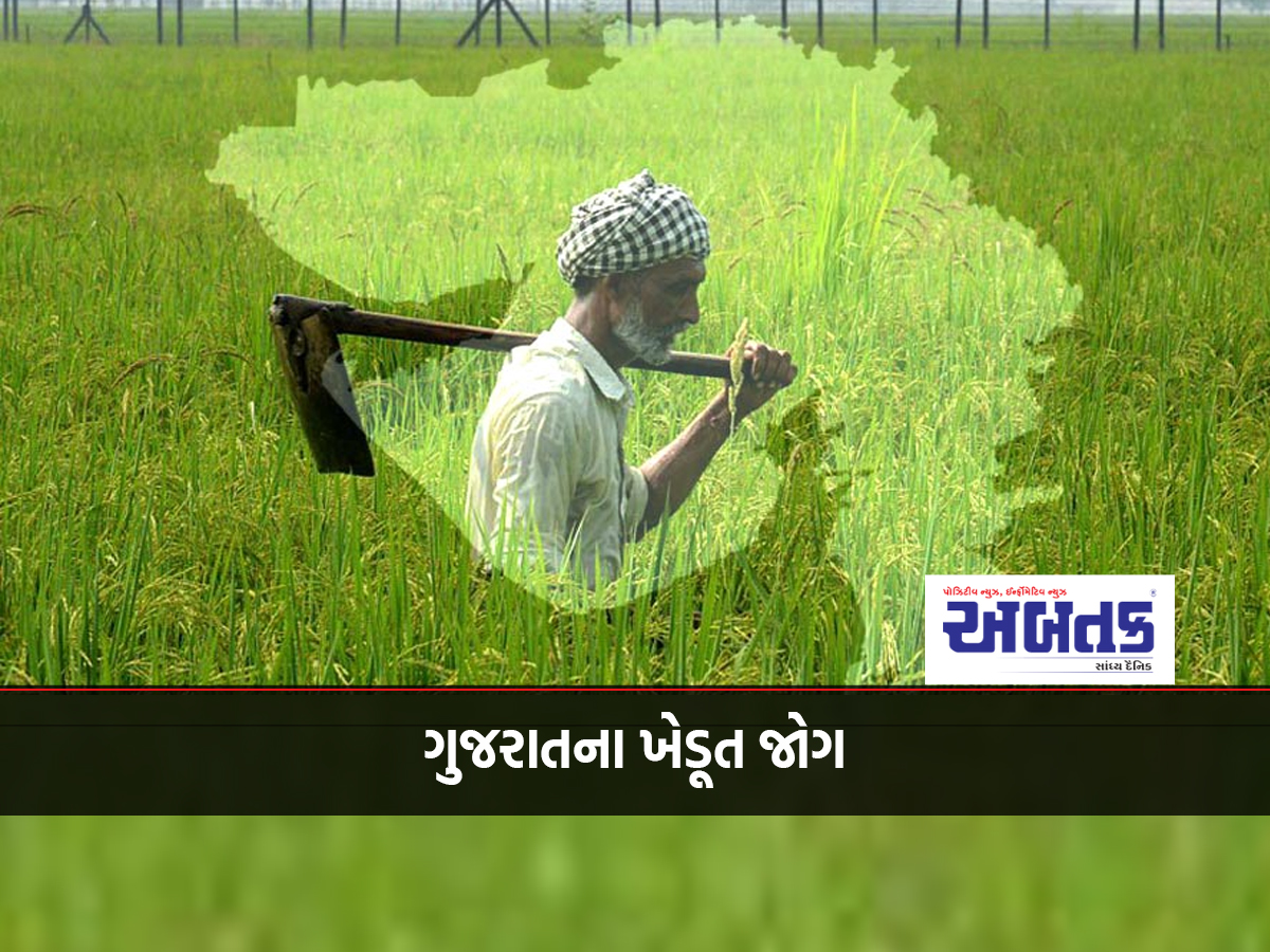 Farmers of Gujarat Job