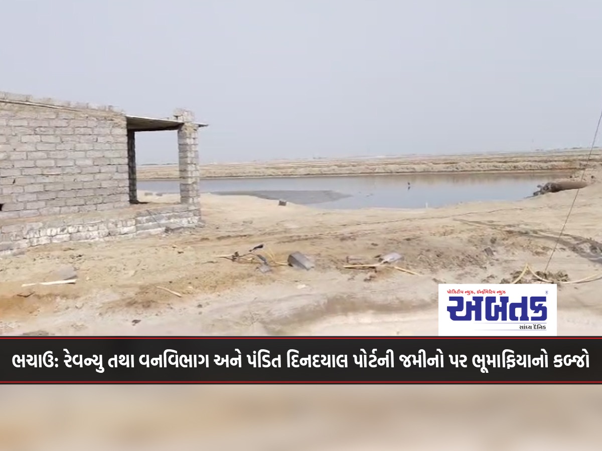 Bhachau: Revenue and Forest Department and Pandit Dindayal Port lands occupied by land mafia