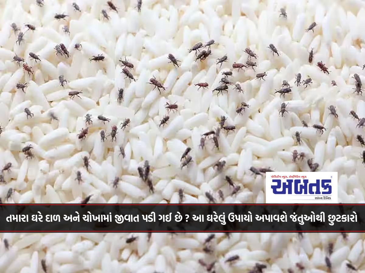 Have moths fallen in your dal and rice? These home remedies will get rid of insects