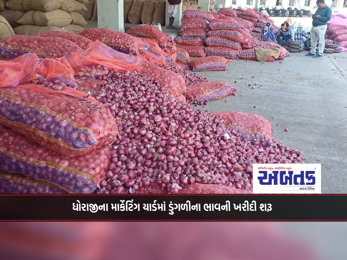 Onion price purchase begins in Dhoraji's marketing yard