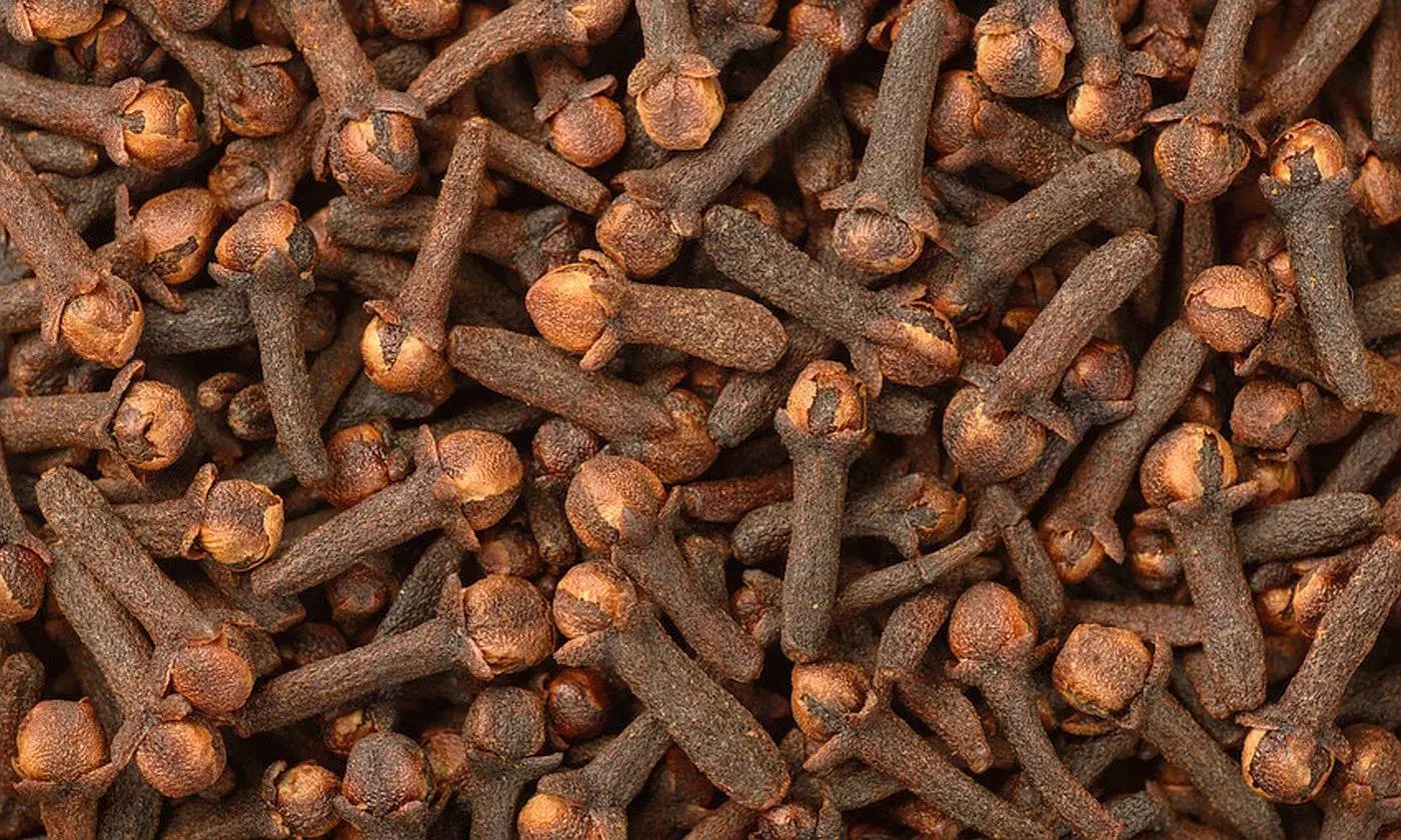 CLOVES