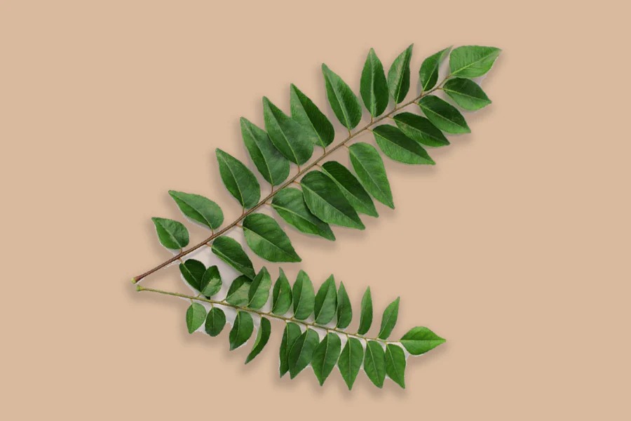 Curry leaves