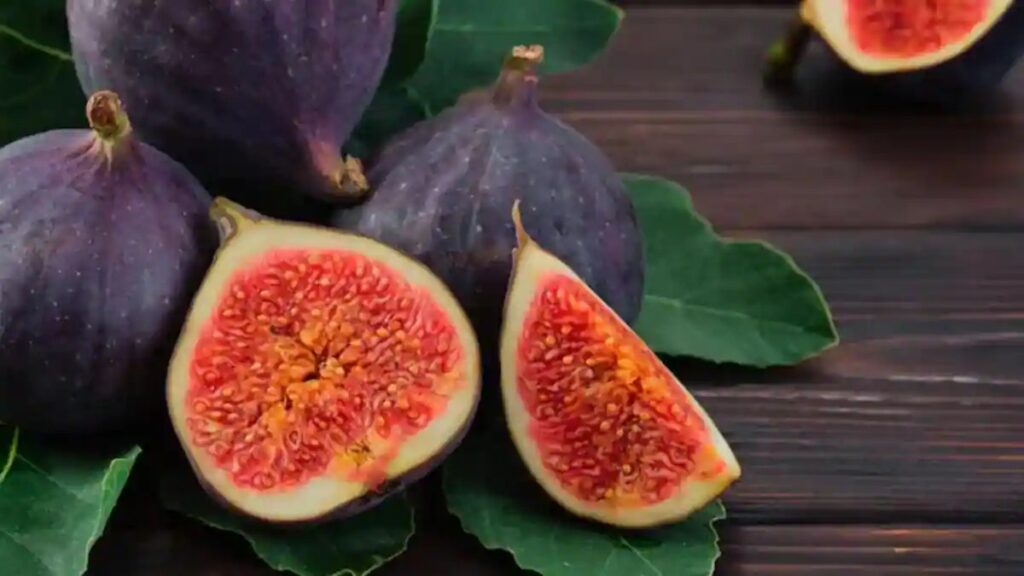 Fig