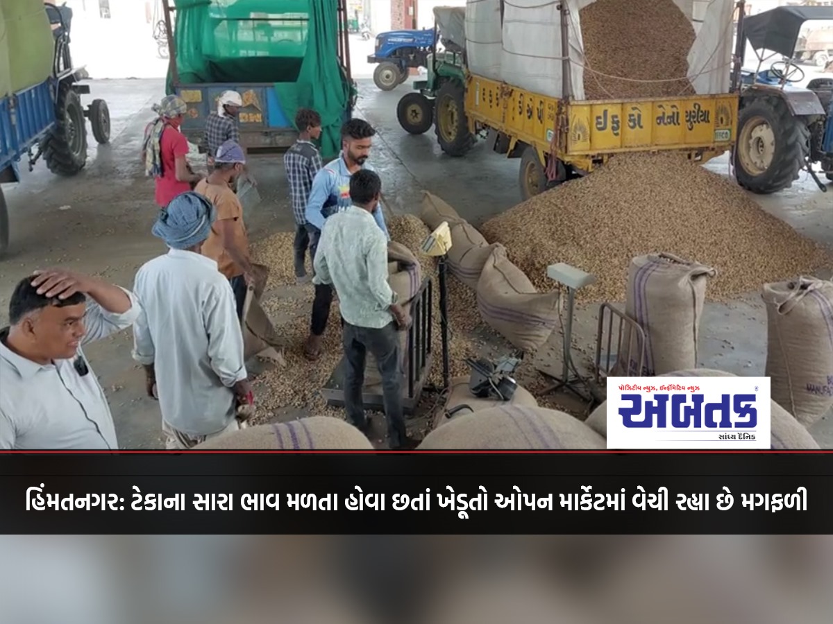 Himmatnagar: Despite getting good support prices, farmers are selling groundnuts in the open market