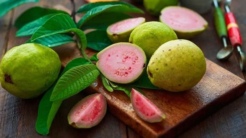 guava