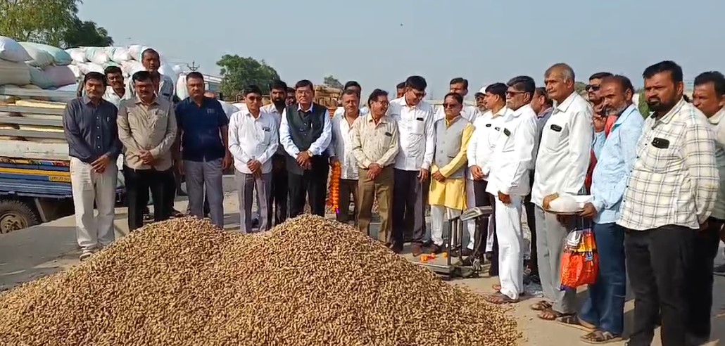 Jamnagar: Farmers happy as purchase of groundnut at support price started in Hapa Marketing Yard