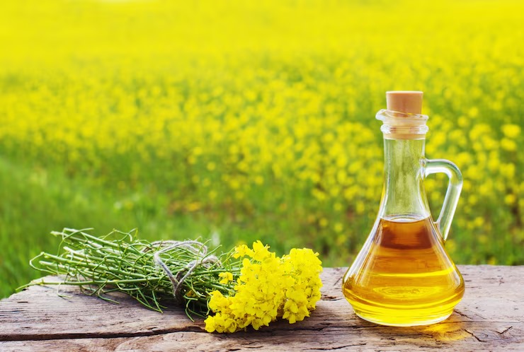 Massaging your body with this oil every day in winter will give you miraculous benefits.