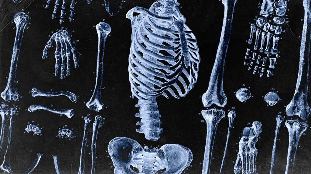 Radiography is needed to detect these health problems, not just cancer