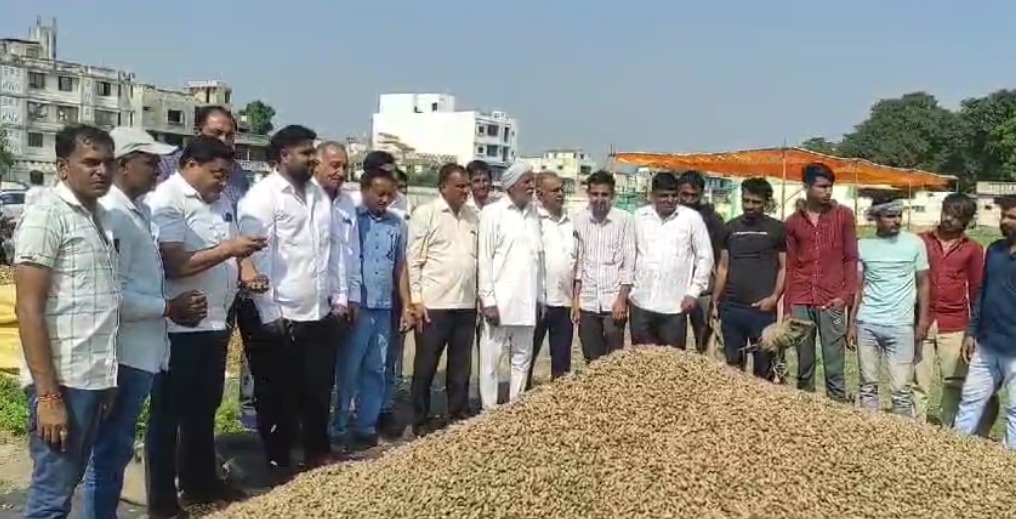 Gir Somnath: Groundnut purchase started at support price in marketing yard, farmers got good prices