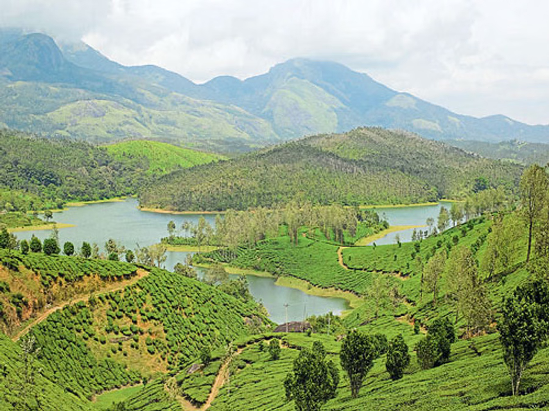 Yelagiri Hill Station