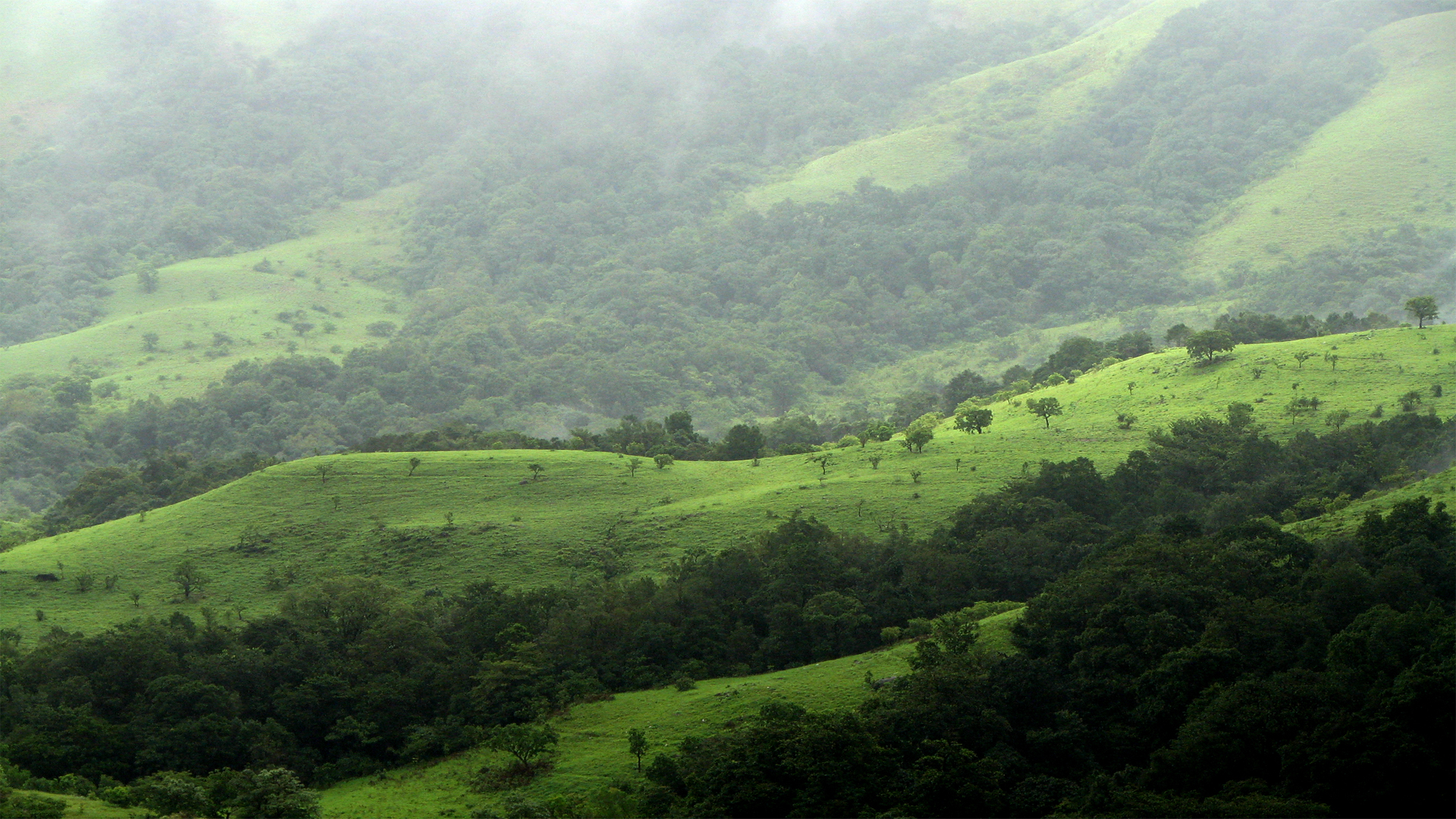 04 Kudremukh Hill Station 1