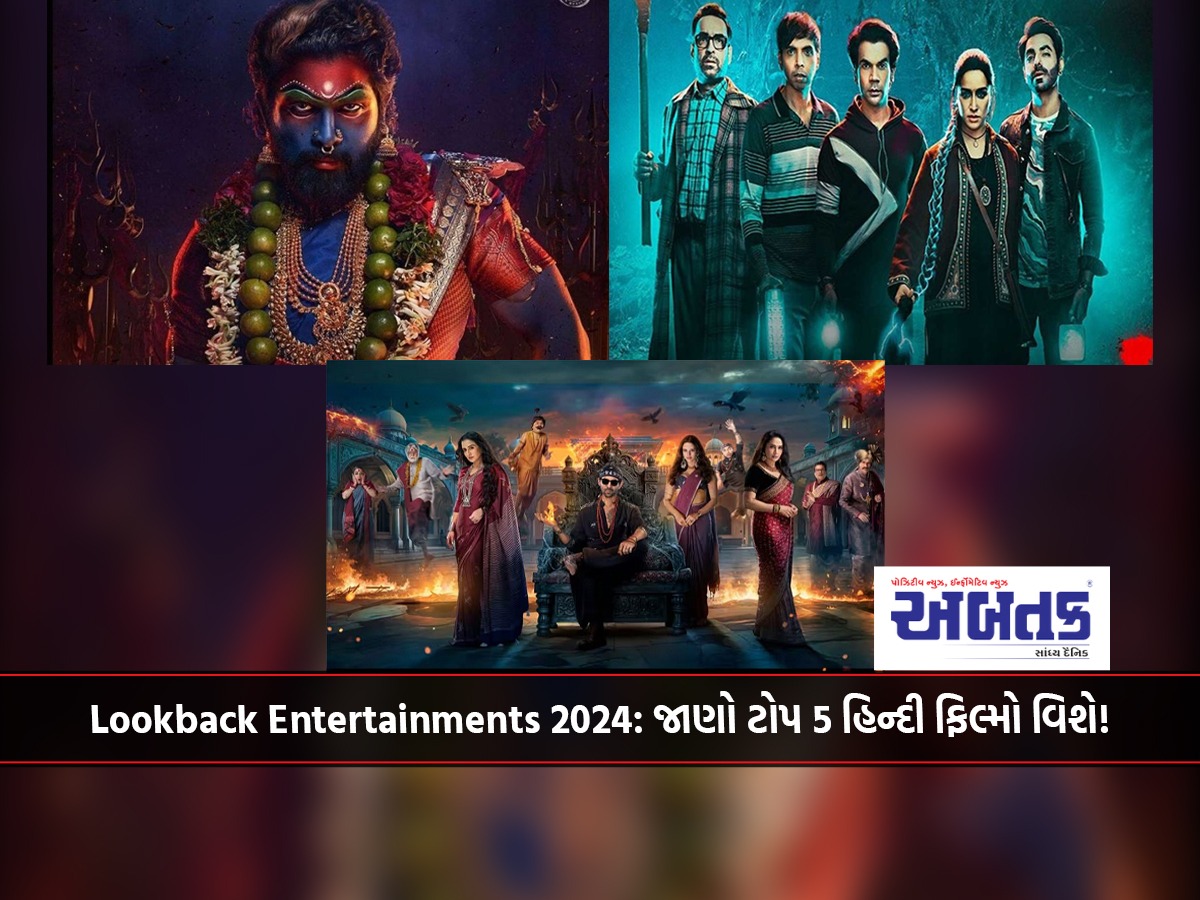 Lookback Entertainments 2024: Know about the top 5 Hindi films!