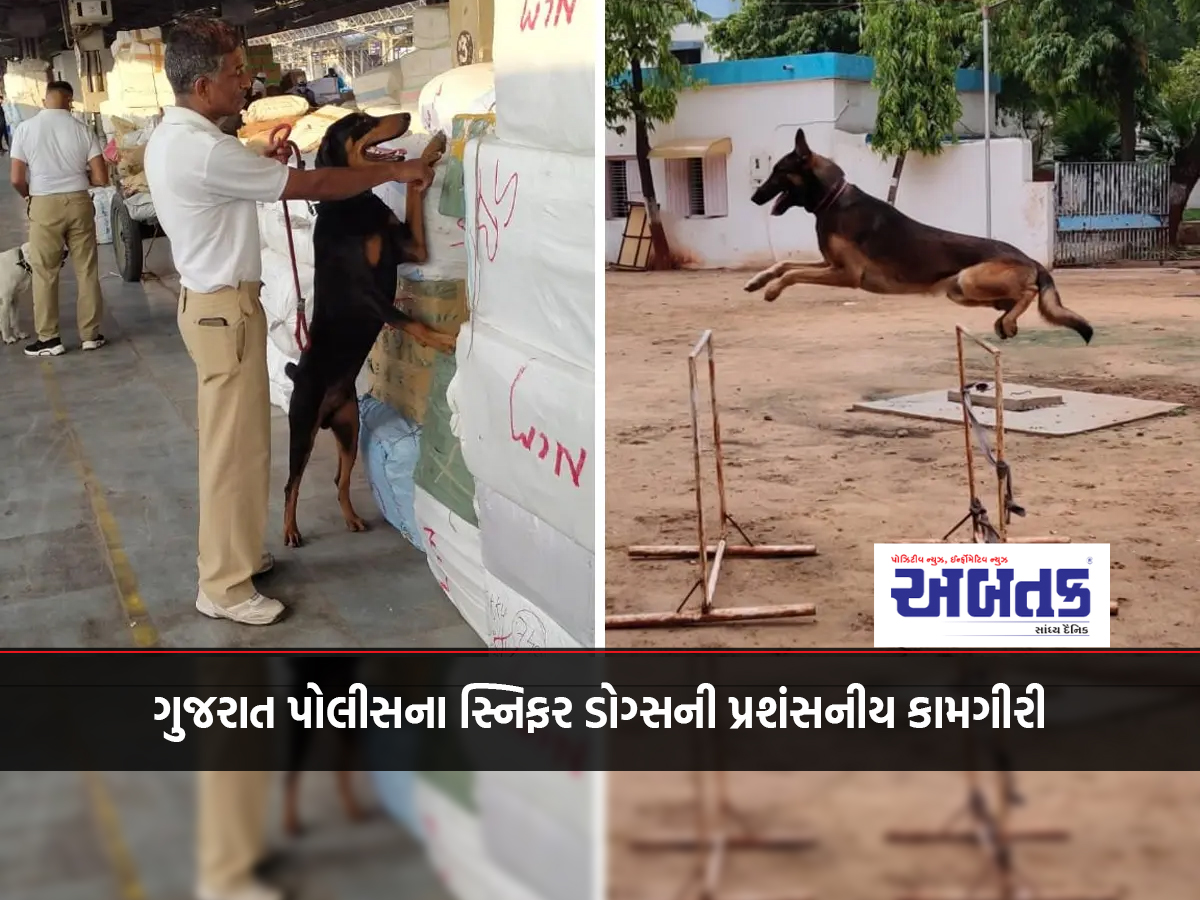 ગુજરાત પોલીસના સ્નિફર ડોગ્સની પ્રશંસનીય કામગીરી