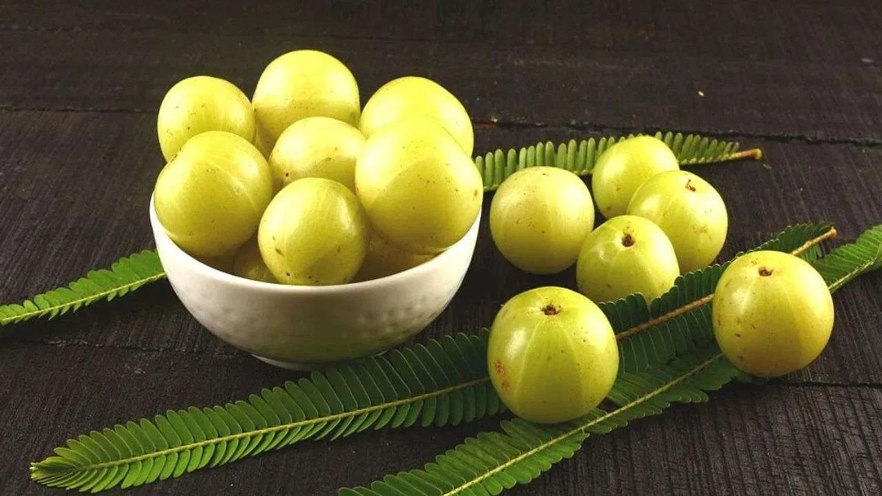 amla