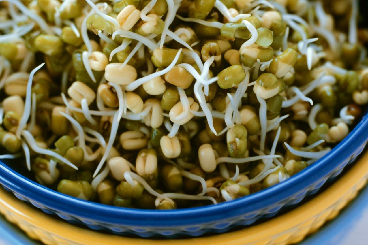 Eat a handful of sprouted moong every morning, get immense benefits