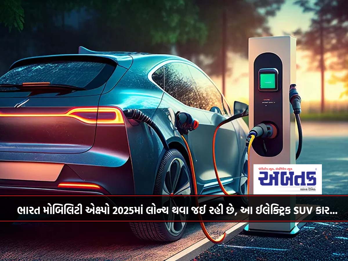 ભારત મોબિલિટી એક્ષ્પો 2025માં લોન્ચ થવા જઈ રહી છે, આ ઈલેક્ટ્રિક SUV કાર...