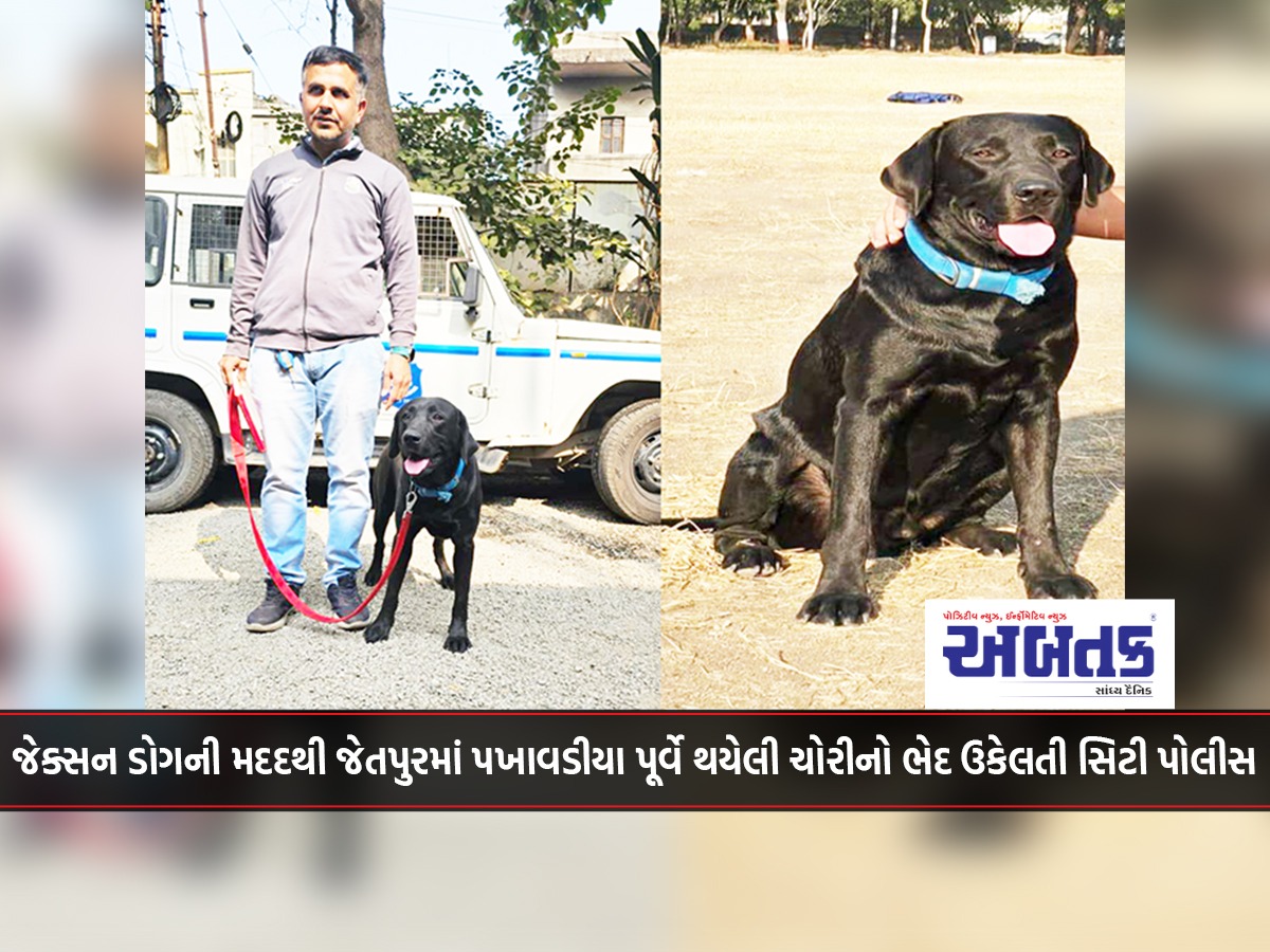 City police solve a theft that happened before the fortnight in Jetpur with the help of Jackson Dog