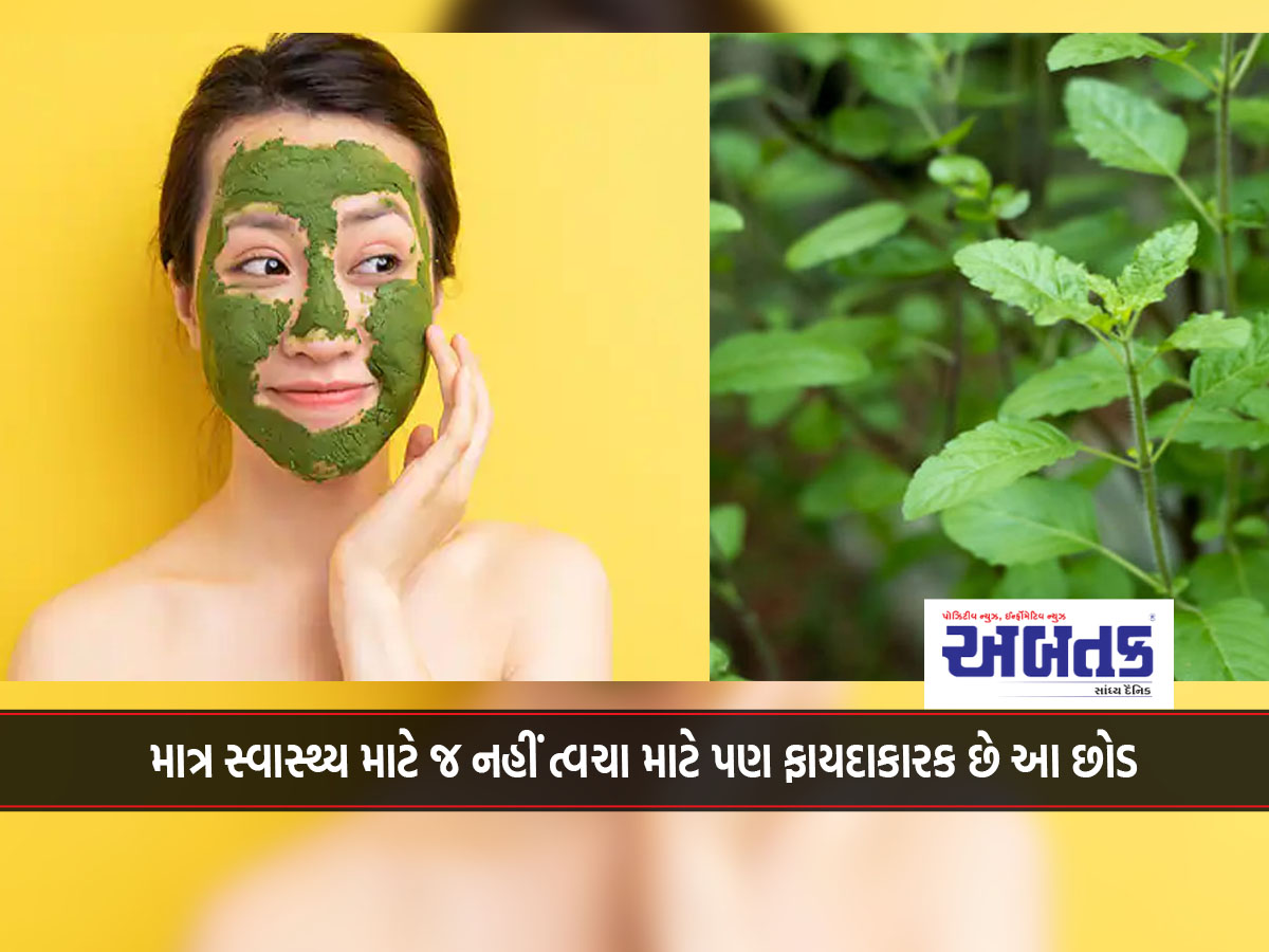 This plant is beneficial not only for health but also for the skin.